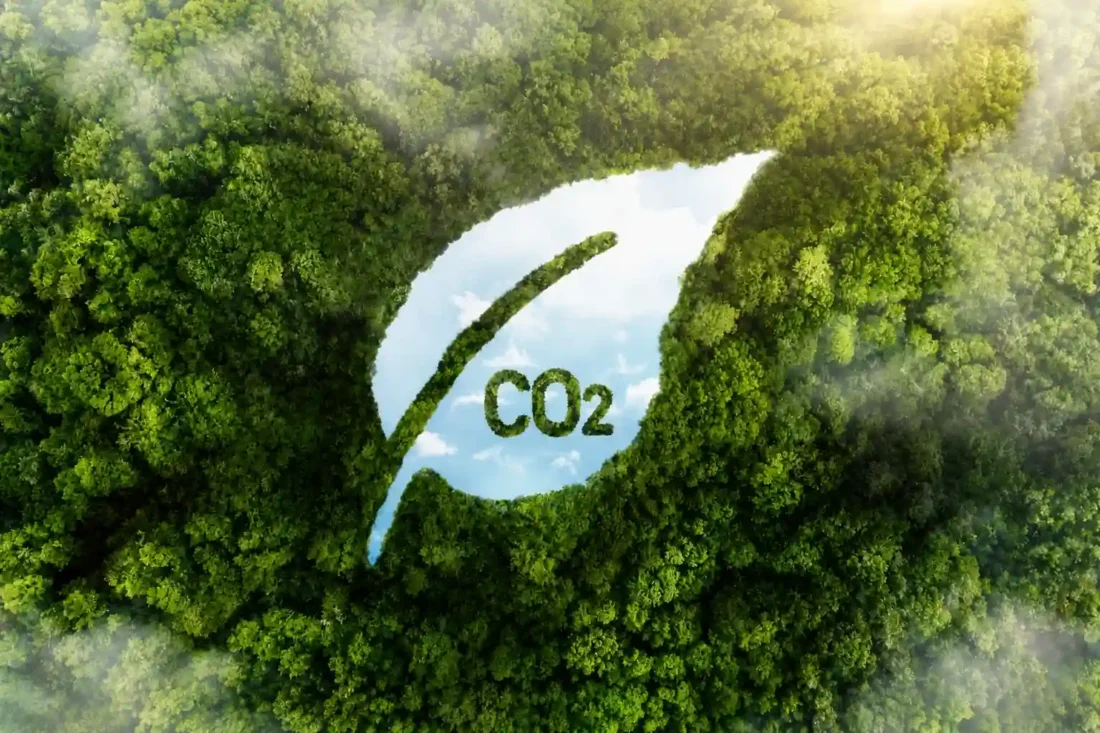 Indonesia plans to issue more than 30 million forestry carbon credits to support forest conservation and expand participation in global carbon markets.