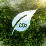 Indonesia plans to issue more than 30 million forestry carbon credits to support forest conservation and expand participation in global carbon markets.