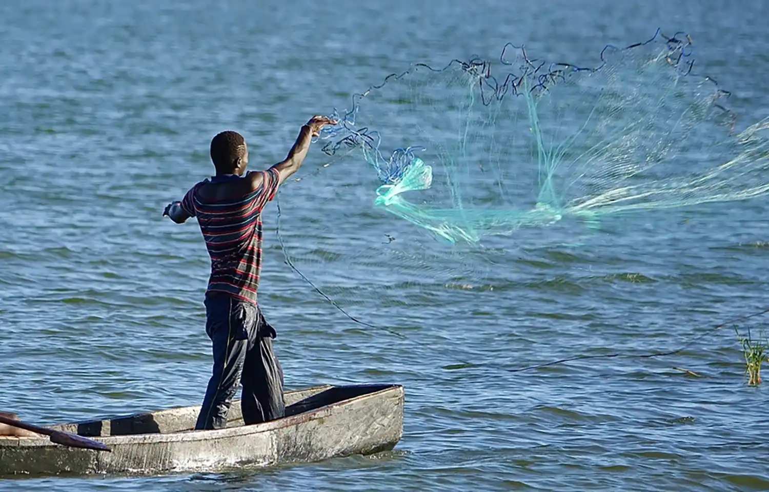 Kenya’s Sh142 billion blue economy initiative tests the country's commitment to sustainable ocean development, marine conservation, and coastal economic growth