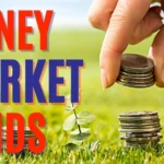 Money market funds become the worst-selling fund sector at the start of the tax year as investors shift allocations to other assets