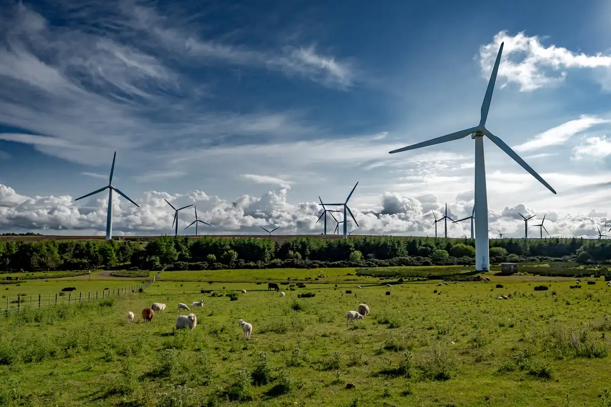 UK pension fund Nest commits 200 million pounds to climate focused infrastructure debt investments