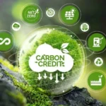 Vietnam launches a pilot national carbon trading market to support emissions reduction, low-carbon growth, and climate commitments.