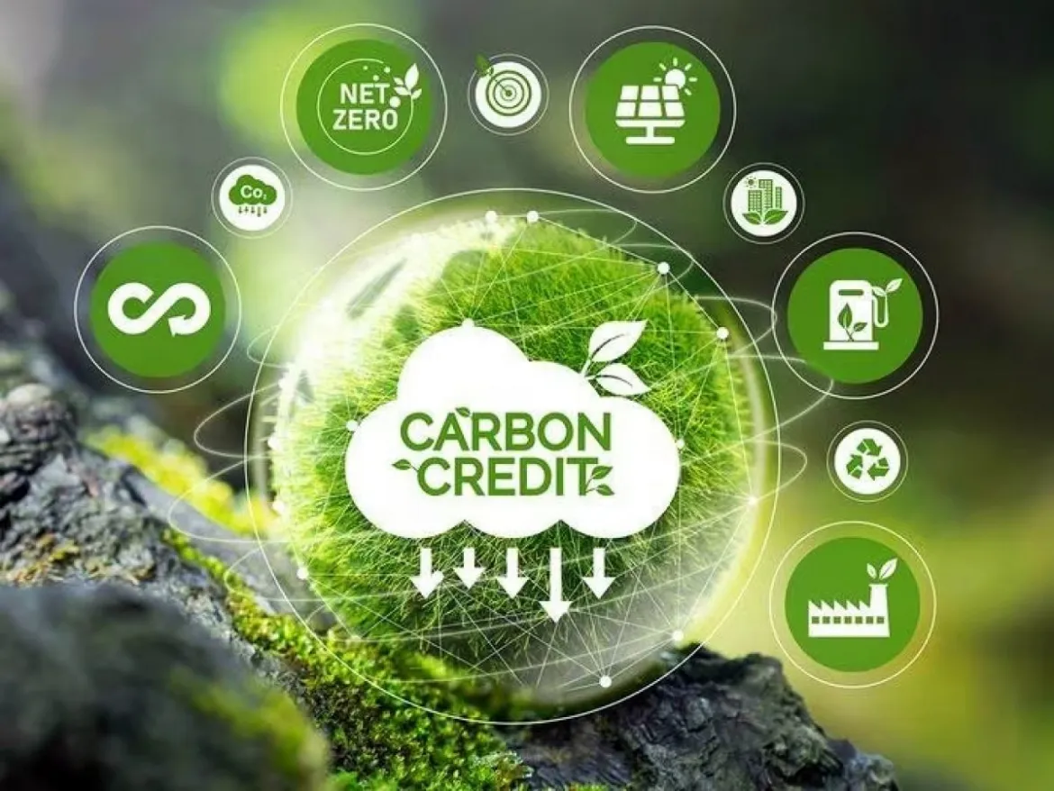 Vietnam launches a pilot national carbon trading market to support emissions reduction, low-carbon growth, and climate commitments.