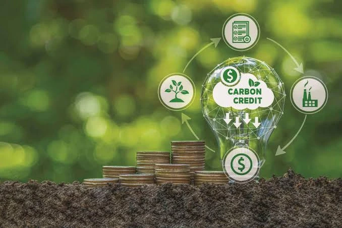 Kenya introduces a new Article 6 framework that caps carbon credit exports while strengthening oversight of international carbon market transactions.