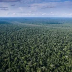 Africa’s climate finance gap persists despite rising flows, highlighting climate investment, adaptation finance, green infrastructure, and sustainable development