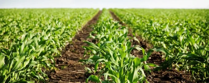 Europe issues its first soil carbon credits under Gold Standard’s Soil Organic Carbon Framework Methodology across farms in France and Belgium.