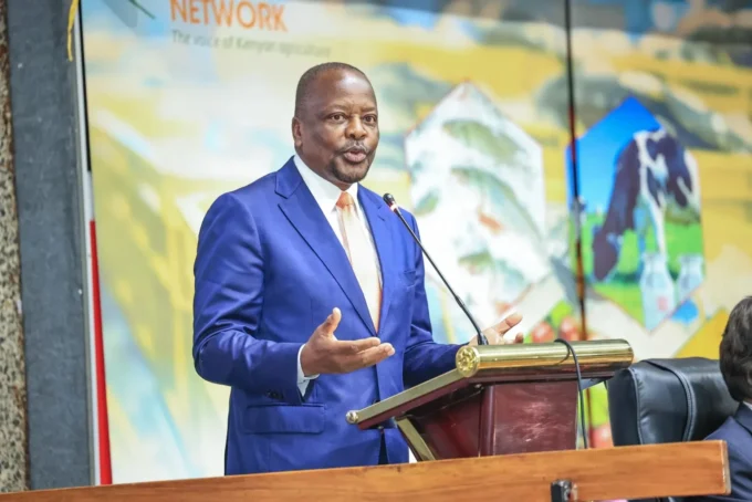 Kenya courts investors to expand potato processing, boost agricultural value addition, create jobs, and strengthen the country's food manufacturing sector